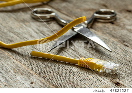 Network cable and scissors Network cable and scissors 47825527