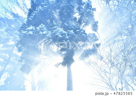 吹雪 吹雪 47825565