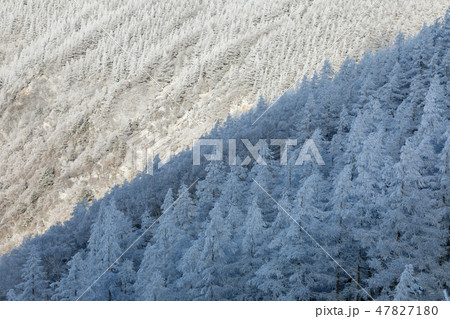 長野_厳冬の美ヶ原_霧氷 47827180