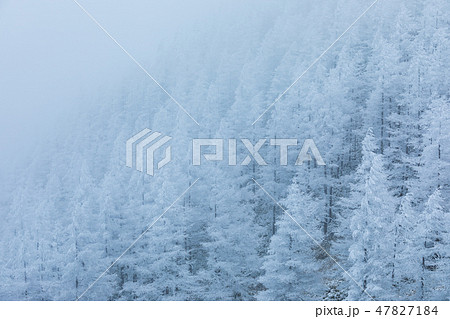 長野_厳冬の美ヶ原_霧氷 長野_厳冬の美ヶ原_霧氷 47827184