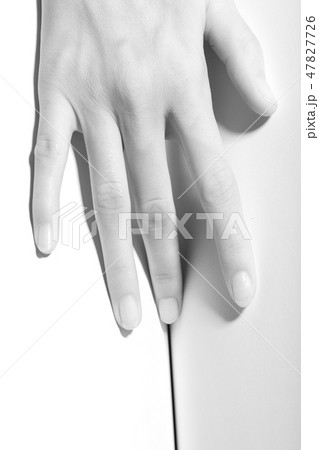 covering female pussy covering female pussy 47827726