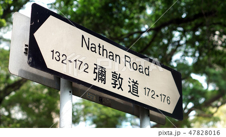 Hong Kong Nathan Road sign green tree background 47828016