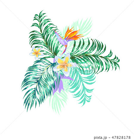 Floral arrangement with tropic palm leaves , monstera bird of paradise vector illustration 47828178