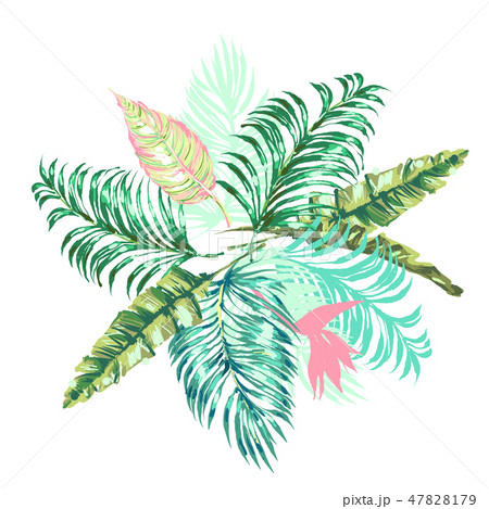 Vector tropical leaves composition with palm. Exotic botanical design for cosmetics, spa, perfume 47828179