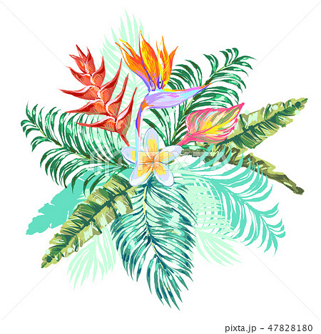 Bouquet with heliconia, plumeria, bird-of-paradise flower, tropical leaves on white background. 47828180