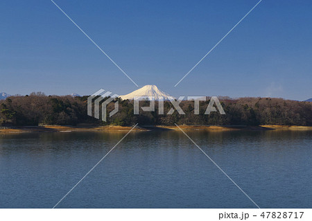 冬の多摩湖と富士山 47828717