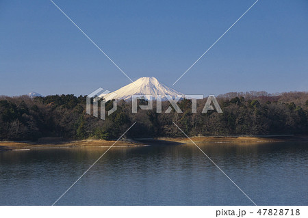 冬の多摩湖と富士山 47828718