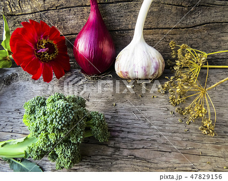 Vegetables on a wooden background. Vegetables on a wooden background. 47829156