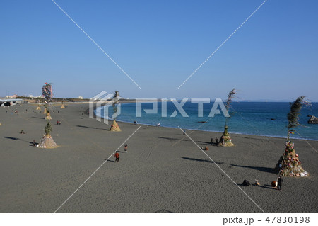 神奈川県 大磯左義長（どんと焼き） 47830198