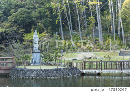 静岡 袋井市 可睡斎の放生池 静岡 袋井市 可睡斎の放生池 47830267
