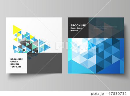 The minimal vector illustration of editable layout of two square format covers design templates for 47830732