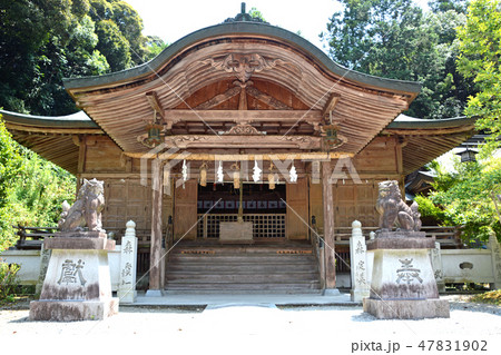 大水上神社 大水上神社 47831902