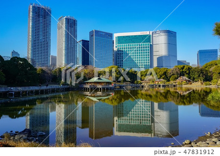 浜離宮恩賜庭園 47831912