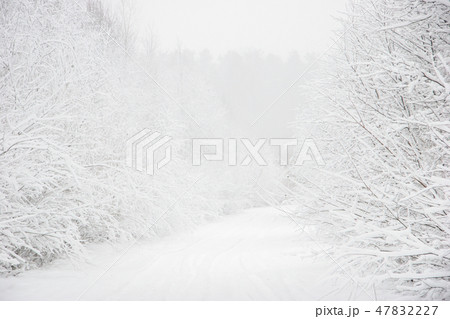 inter landscape with snowy road in winter forest. 47832227