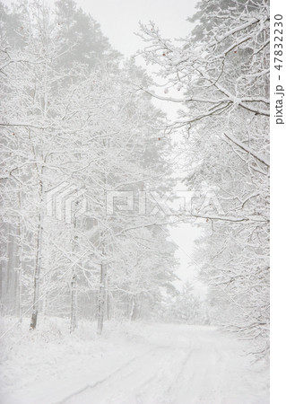 inter landscape with snowy road in winter forest. 47832230