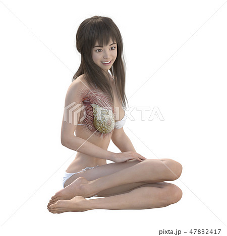 女性 解剖 筋肉 3DCG イラスト素材 女性 解剖 筋肉 3DCG イラスト素材 47832417
