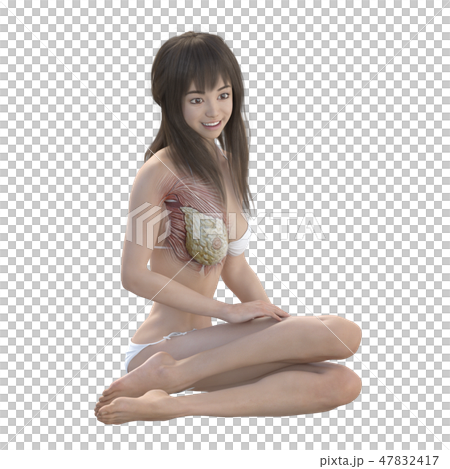 女性 解剖 筋肉 3DCG イラスト素材 女性 解剖 筋肉 3DCG イラスト素材 47832417