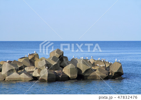 おだやかな日本海 47832476