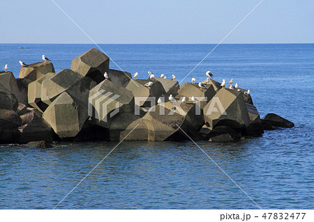 おだやかな日本海 47832477
