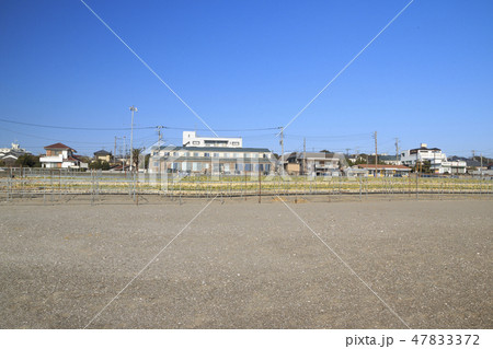 三浦海岸 47833372