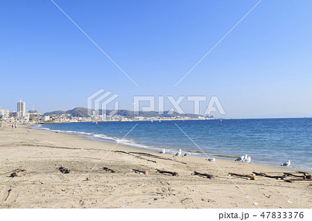 三浦海岸 三浦海岸 47833376