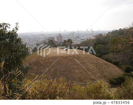 大谷古墳 大谷古墳 47833456