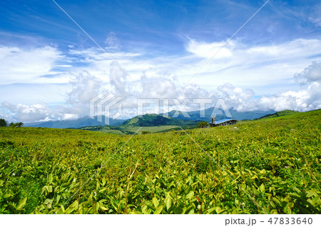 霧ヶ峰、肩の小屋と八島ヶ原湿原を望む風景 霧ヶ峰、肩の小屋と八島ヶ原湿原を望む風景 47833640