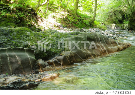 信州　辰野町　横川渓谷の蛇石（じゃいし）　世界に類例がない貫入岩脈　国指定天然記念物 47833852