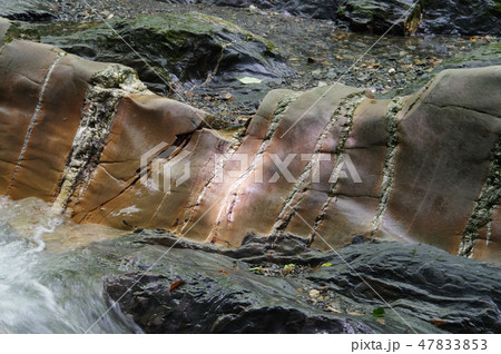 信州　辰野町　横川渓谷の蛇石（じゃいし）　世界に類例がない貫入岩脈　国指定天然記念物 47833853