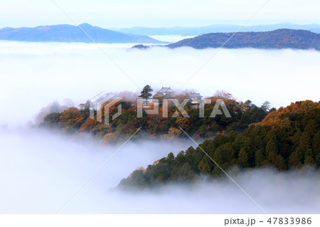 天空の城2684 天空の城2684 47833986