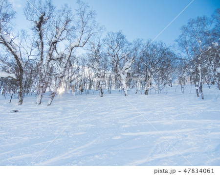 ルスツリゾートスキー場 ルスツリゾートスキー場 47834061