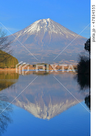 【静岡県】田貫湖の逆さ富士 47834555