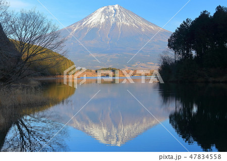 【静岡県】田貫湖の逆さ富士 47834558