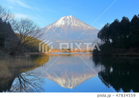 【静岡県】田貫湖の逆さ富士 【静岡県】田貫湖の逆さ富士 47834559