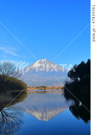 【静岡県】田貫湖の逆さ富士 47834561