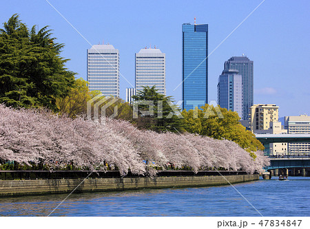 南天満公園 南天満公園 47834847
