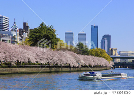 南天満公園 南天満公園 47834850
