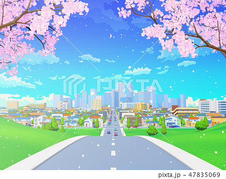 桜 街 道路 住宅街 都市 青空 風景のイラスト素材