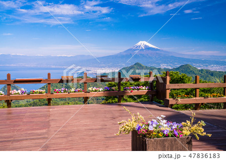 【静岡県】伊豆の国パノラマパークから富士山 47836183