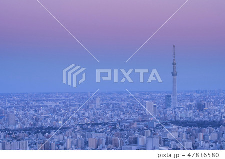 夕暮れの東京 都市風景 夕暮れの東京 都市風景 47836580