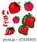 いちご 47836803