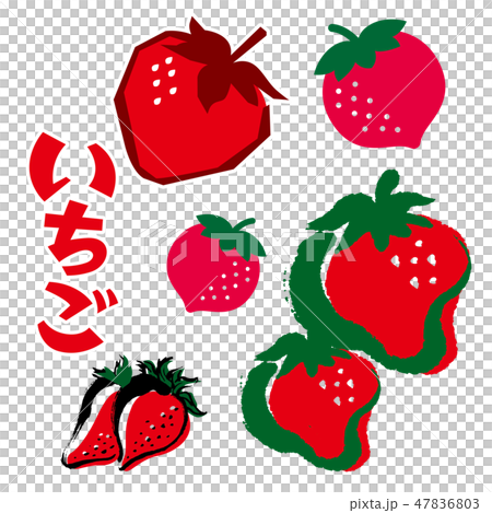 いちご 47836803