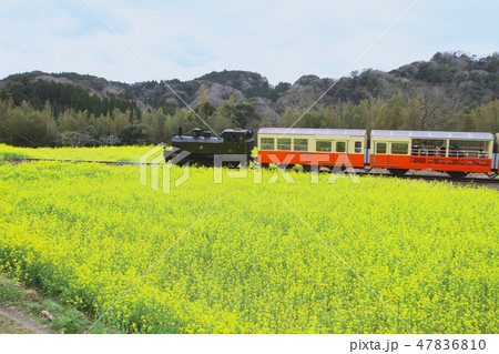 小湊鉄道　里山トロッコ 47836810
