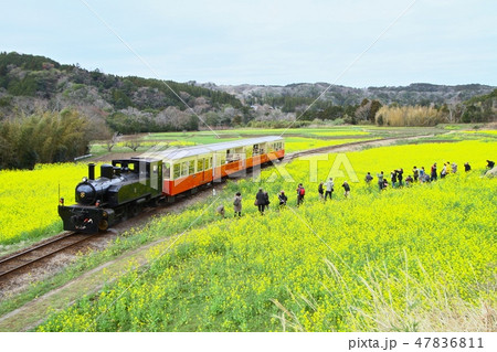 小湊鉄道　里山トロッコ 47836811