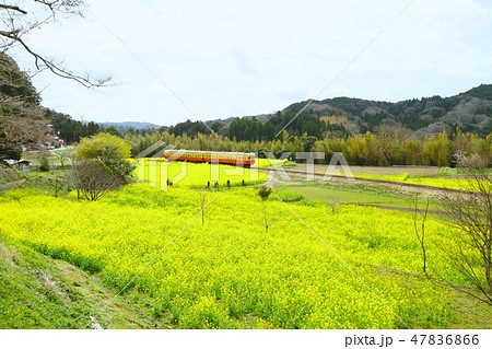 小湊鉄道 小湊鉄道 47836866