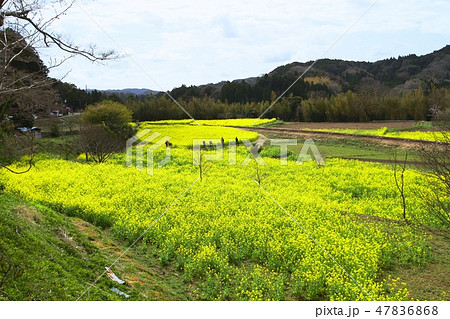 小湊鉄道 小湊鉄道 47836868