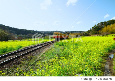 小湊鉄道 47836870