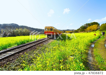 小湊鉄道 小湊鉄道 47836872