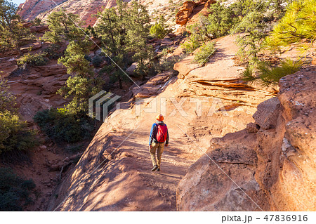 Hike in Utah Hike in Utah 47836916