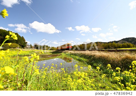 小湊鉄道 47836942